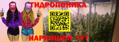 винт Будённовск