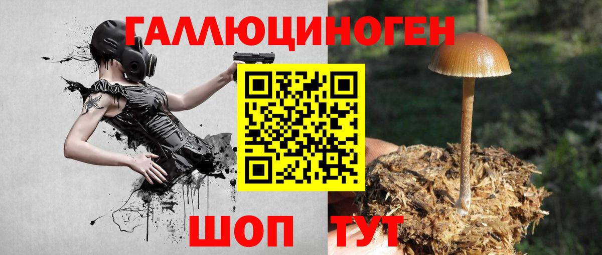 Псилоцибиновые грибы мицелий Прокопьевск