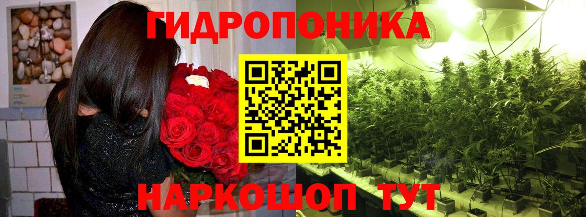Марихуана Bruce Banner Прокопьевск